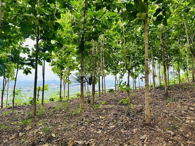 VƯỜN NGHỈ DƯỠNG LA NGÀ VIEW HỒ TRỊ AN, GẦN QL20 CHỈ 1,05 TỶ TRỌN SỔ