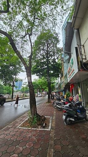 Cho thuê nhà nguyên căn mặt phố Vũ Tông Phan, Hà Nội