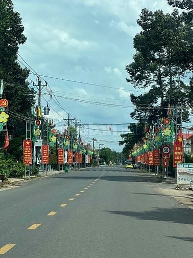 Chính Chủ cần tiền gấp bán mảnh đất 240m2 giá ngộp 250 triệu, Bao sổ