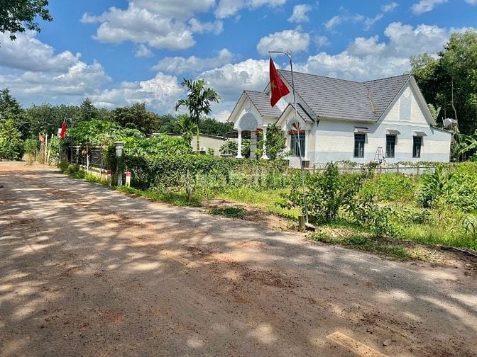 Chính Chủ cần tiền gấp bán mảnh đất 240m2 giá ngộp 250 triệu, Bao sổ