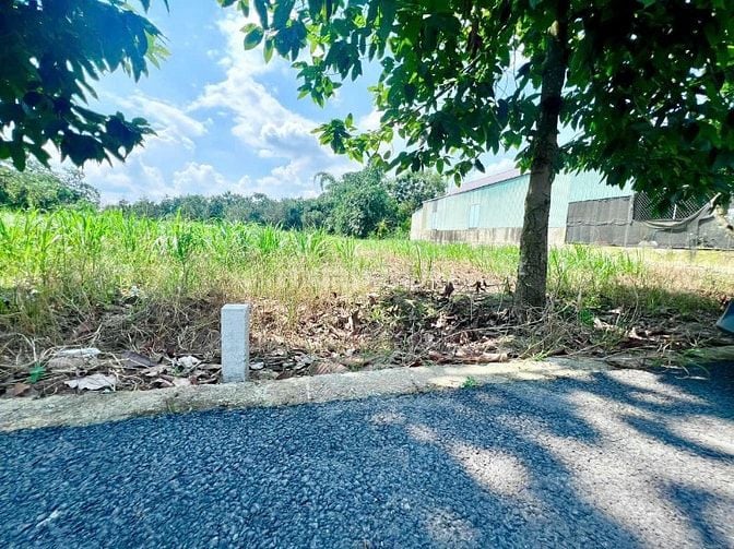 Chính Chủ Cần Tiền Bán rẻ 164m2 thổ cư, Giá chỉ 200 triệu, bao sổ