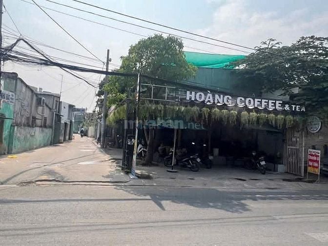 BÁN ĐẤT TẶNG NHÀ CẤP 4 ĐÔNG THẠNH HÓC MÔN - 135M2 - NGANG KHỦNG 6M 