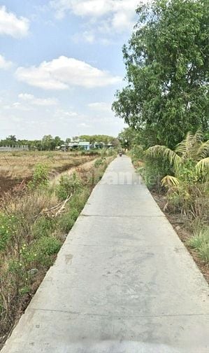 Bán 1067m² đất đường ôtô tại xã Tân Qúy Tây, Bình Chánh, HCM