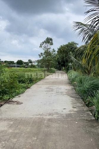 Bán 1067m² đất đường ôtô tại xã Tân Qúy Tây, Bình Chánh, HCM