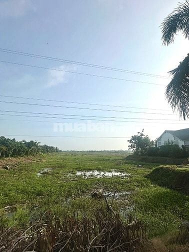 Bán 15 - 32 công đất (xã Láng Biển, Tháp Mười, Đồng Tháp)
