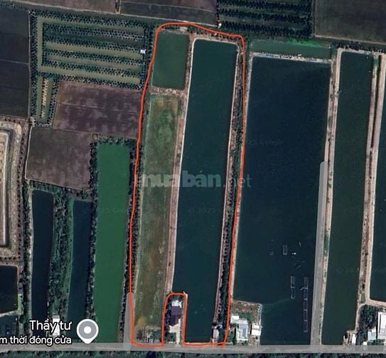 Bán 15 - 32 công đất (xã Láng Biển, Tháp Mười, Đồng Tháp)