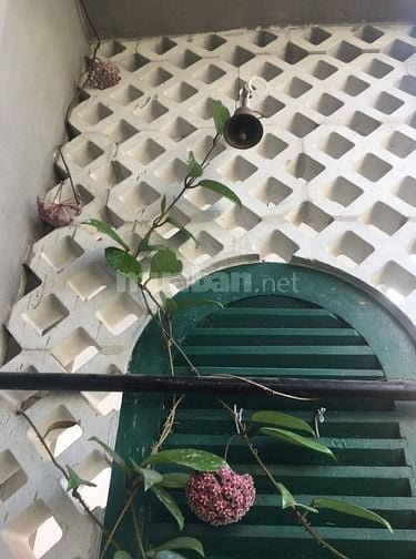 🌿 CHO THUÊ PHÒNG CỰC XINH – TRUNG TÂM QUẬN 3