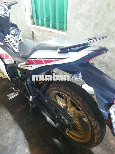 Exciter 155