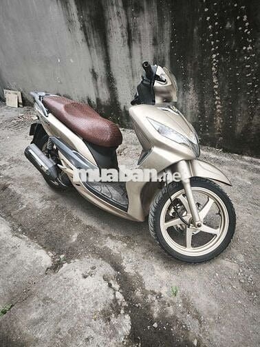 Shark 170cc TPHCM 9c