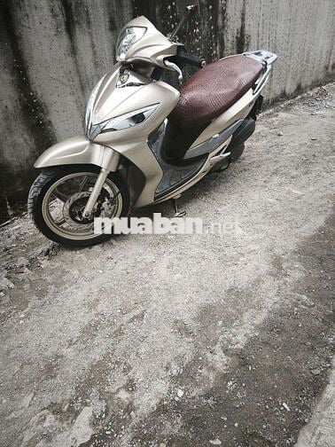 Shark 170cc TPHCM 9c