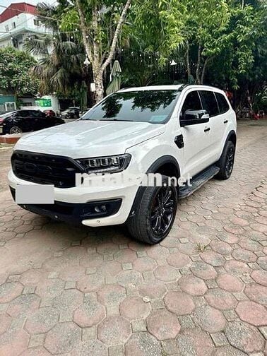 Ford Everest 2019 Titanium 2.0L 4x4 AT - 90000 km