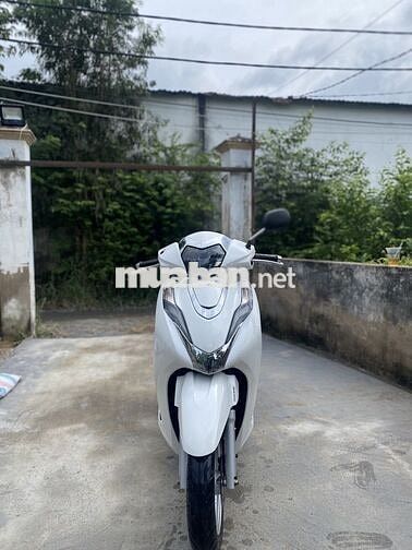 Lead 4 val cuối 2024