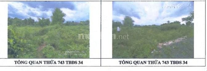 BÁN ĐẤU GIÁ 02 BẤT ĐỘNG SẢN TẠI THẮNG LỢI, PLEIKU, GIA LAI