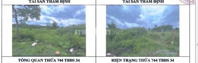 BÁN ĐẤU GIÁ 02 BẤT ĐỘNG SẢN TẠI THẮNG LỢI, PLEIKU, GIA LAI