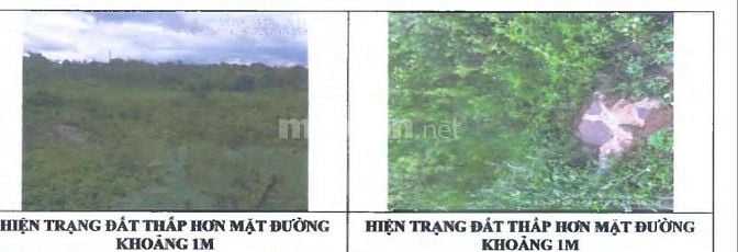 BÁN ĐẤU GIÁ 02 BẤT ĐỘNG SẢN TẠI THẮNG LỢI, PLEIKU, GIA LAI