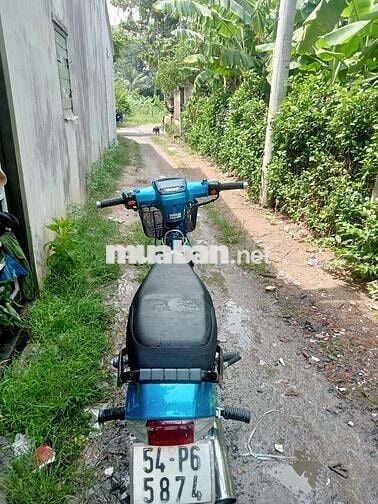 Em drem dọn kiểng cho ae chs