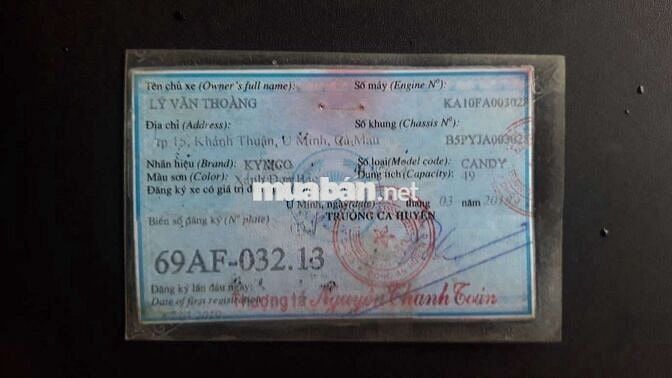 50c ko cần bằng lái                           