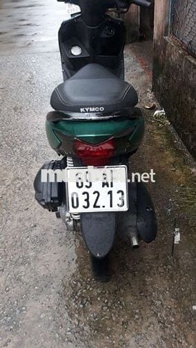 50c ko cần bằng lái                           