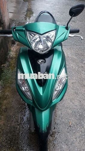 50c ko cần bằng lái                           