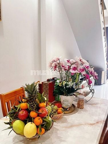 Bán nhà 1tr 1 lầu Khu Đất Nền Thạnh Xuân 25. Quận 12. (VIP)
