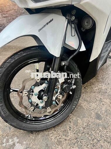 VARIO kiểng 125                                   