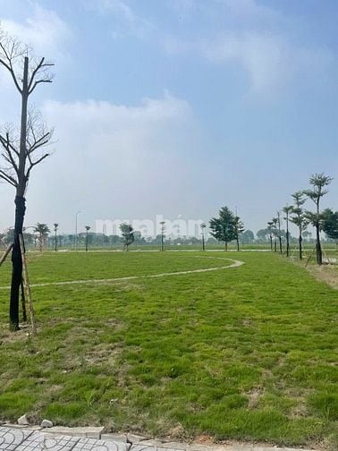 🌟DUY NHẤT  BIỆT THỰ SONG LẬP GÓC – 3 MẶT THOÁNG – VIEW CÔNG VIÊN – SỞ