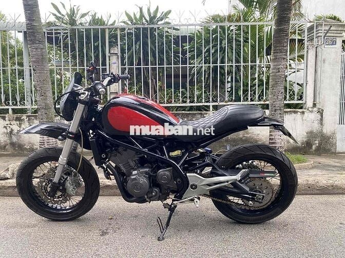 benelli 302 up scrambler