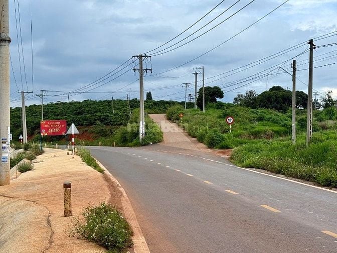 Đất mặt tiền đường nhựa 690 triệu, nằm chính giữa Đà Lạt & Sân bay