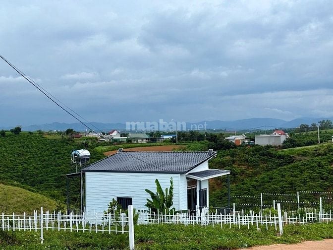 Đất mặt tiền đường nhựa 690 triệu, nằm chính giữa Đà Lạt & Sân bay