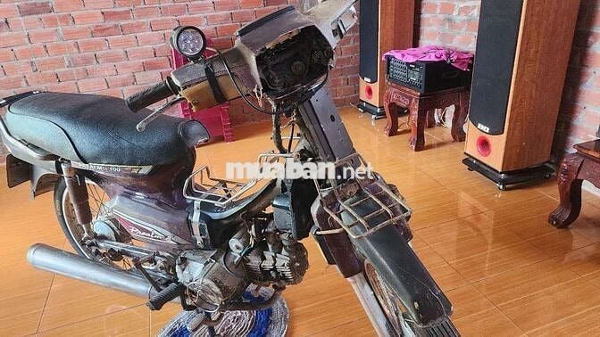 XE LONCIN
