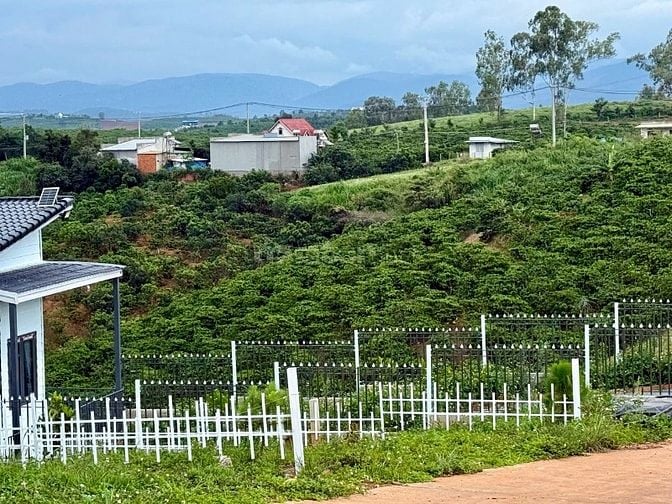 Đất mặt tiền đường nhựa 690 triệu, nằm chính giữa Đà Lạt & Sân bay