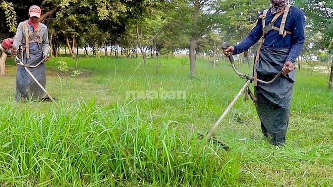 Bảo dưỡng cảnh quan định kỳ – Giữ mãi vẻ đẹp xanh cho công trình