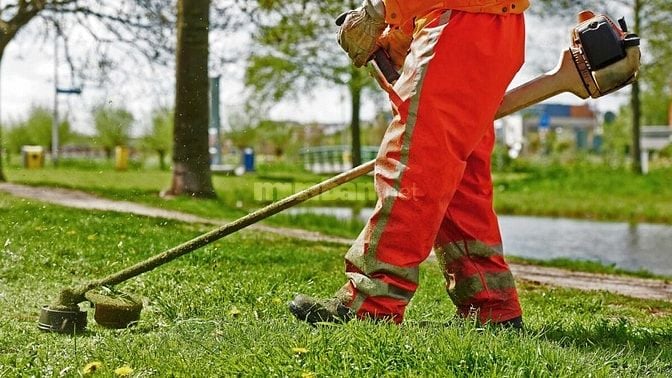 Bảo dưỡng cảnh quan định kỳ – Giữ mãi vẻ đẹp xanh cho công trình