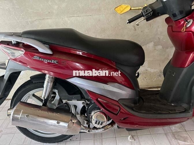 sym shark máy êm giấy tờ ok