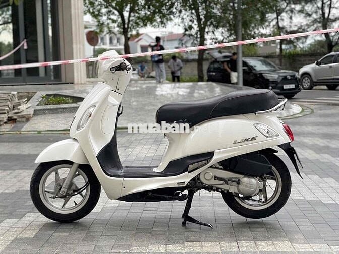 like 50cc không cần bằng lái