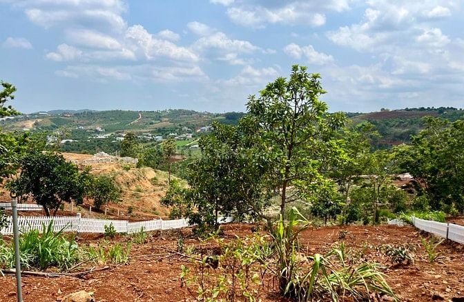 Bán 711m2 đất ven Đà Lạt, view toàn cảnh thị trấn, sẵn 244m2 ODT