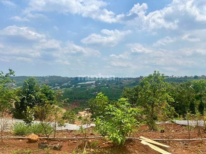 Bán 711m2 đất ven Đà Lạt, view toàn cảnh thị trấn, sẵn 244m2 ODT