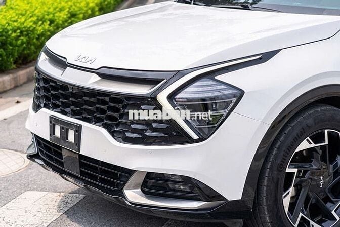 Kia Sportage 1.6 Xline Sản xuất 2023