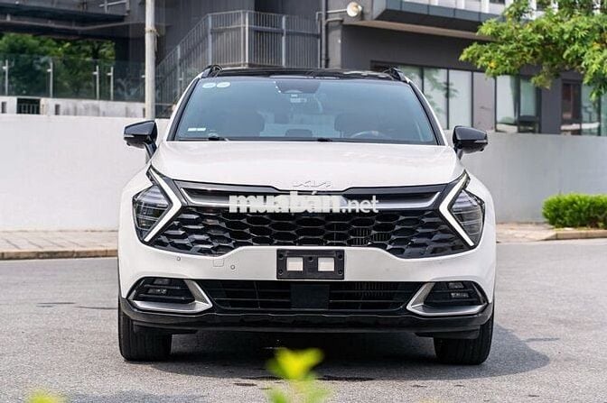 Kia Sportage 1.6 Xline Sản xuất 2023