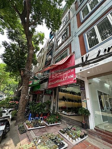 Gia đình cần Cho thuê cửa hàng,  tầng 1 mặt phố Hoàng Hoa Thám, Tây Hồ