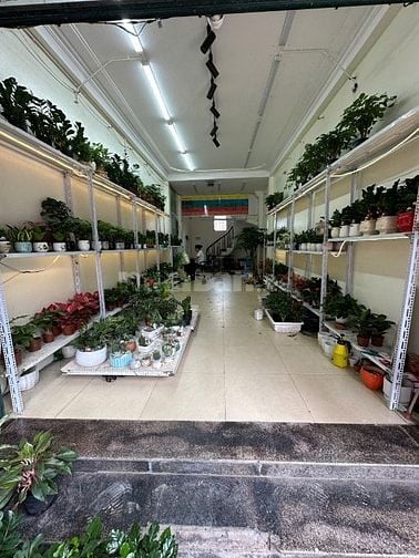 Gia đình cần Cho thuê cửa hàng,  tầng 1 mặt phố Hoàng Hoa Thám, Tây Hồ