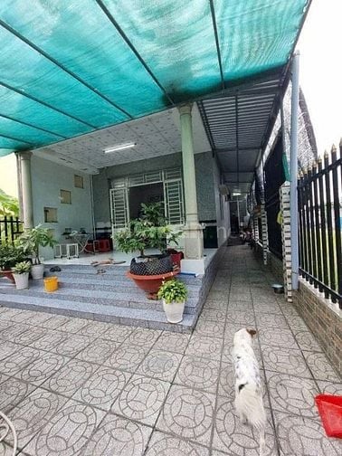 VỢ CHỒNG LY THÂN ANH LÂM BÁN VỘI NHÀ 200M2 GIÁ ĐẸP 850 TRIỆU ĐỂ BÁN