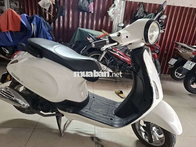 Vizpa 50cc de hoc sinh di