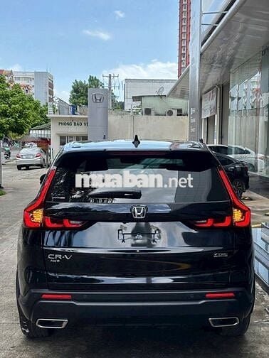 CRV L AWD - Chỉ Từ 1 Tỷ 250