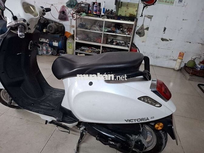 Vizpa 50cc de hoc sinh di
