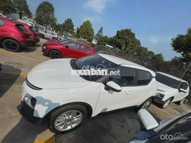 Vf5 trắng 2025 mới 100%.