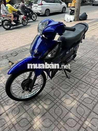 Elegant 50cc