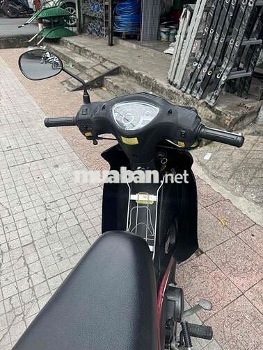 Elegant 50cc