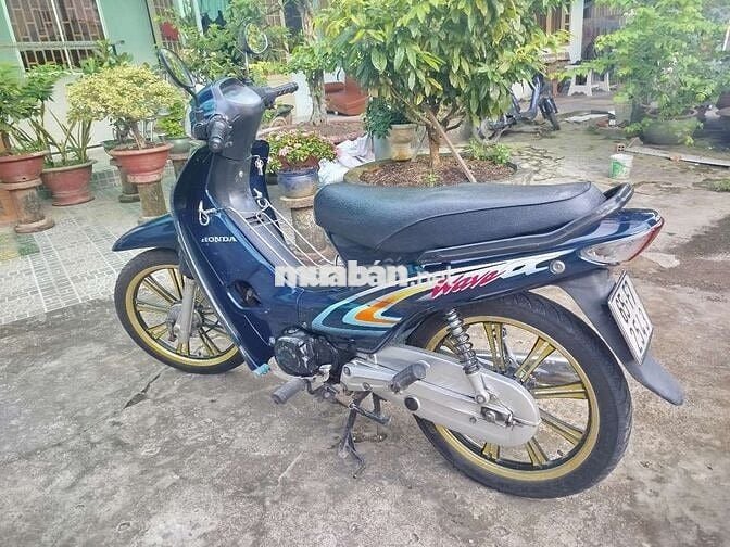 Wave anpha 202