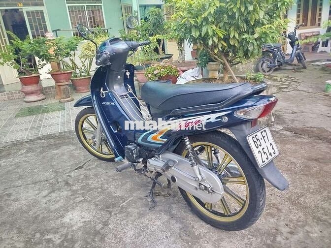 Wave anpha 202